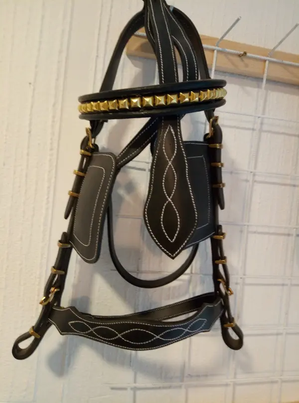 Černá kočárová ohlávka se zlatým zdobením