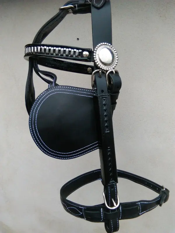 Detail černé ohlávky s raženým motivem