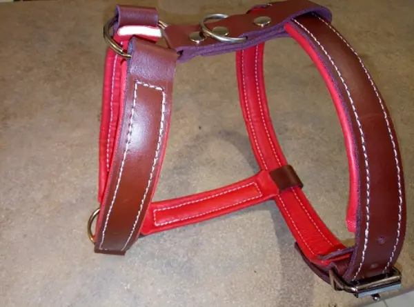 Červeno-hnědý kožený postroj pro psa s polstrováním